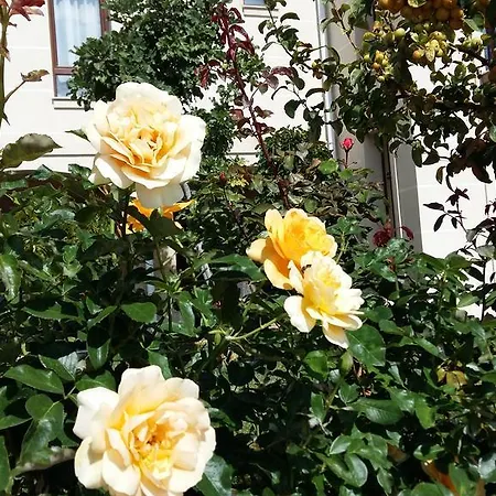 Aparthotel Sorrento Sole Mare