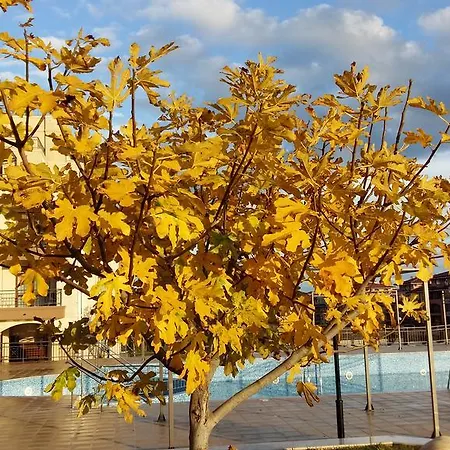 Aparthotel Sorrento Sole Mare