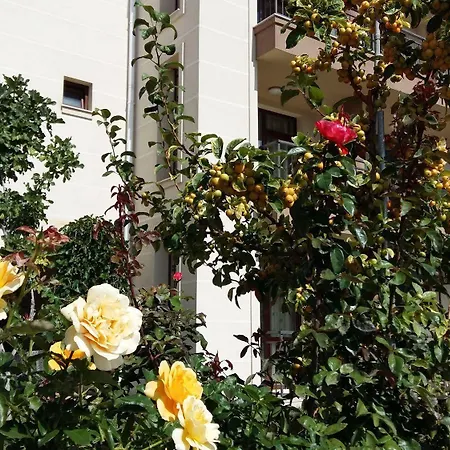 Apartahotel Sorrento Sole Mare