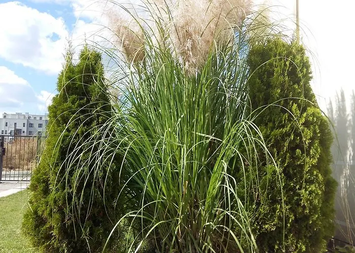 Aparthotel Sorrento Sole Mare 3*