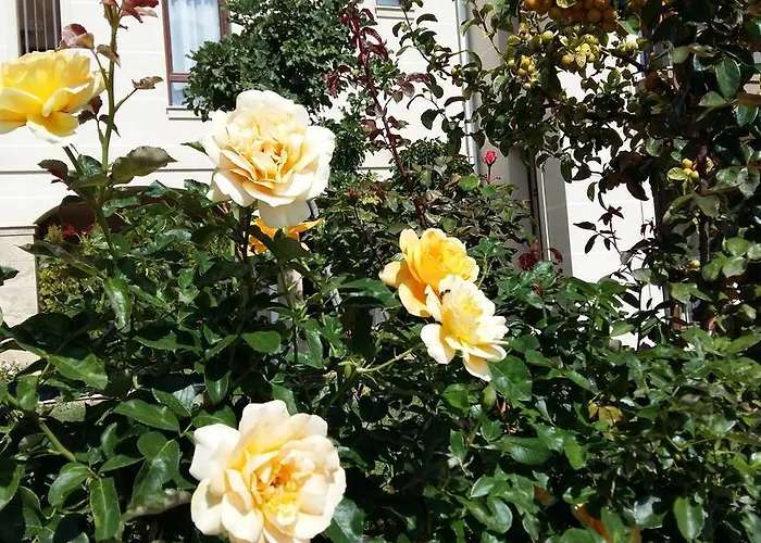 Aparthotel Sorrento Sole Mare