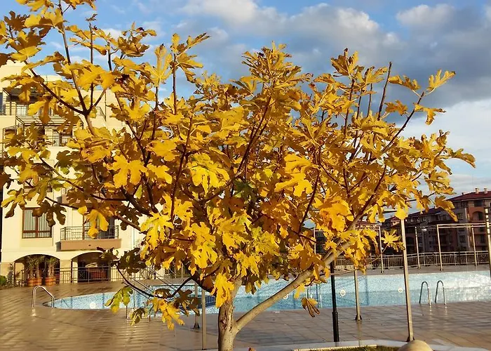 Aparthotel Sorrento Sole Mare