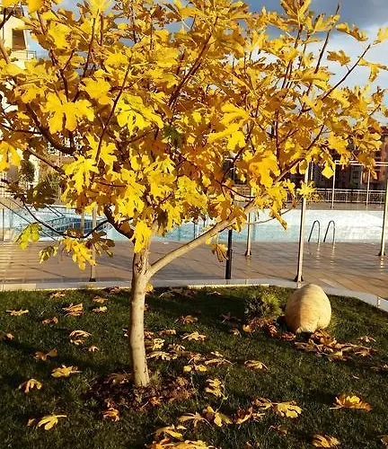 Aparthotel Sorrento Sole Mare 3*